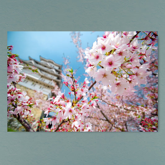 36x24" (91.44 x 60.96cm) Metal Print