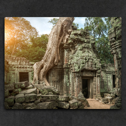 14x11" (35.56 x 27.94cm) Metal Print