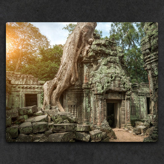 14x11" (35.56 x 27.94cm) Metal Print