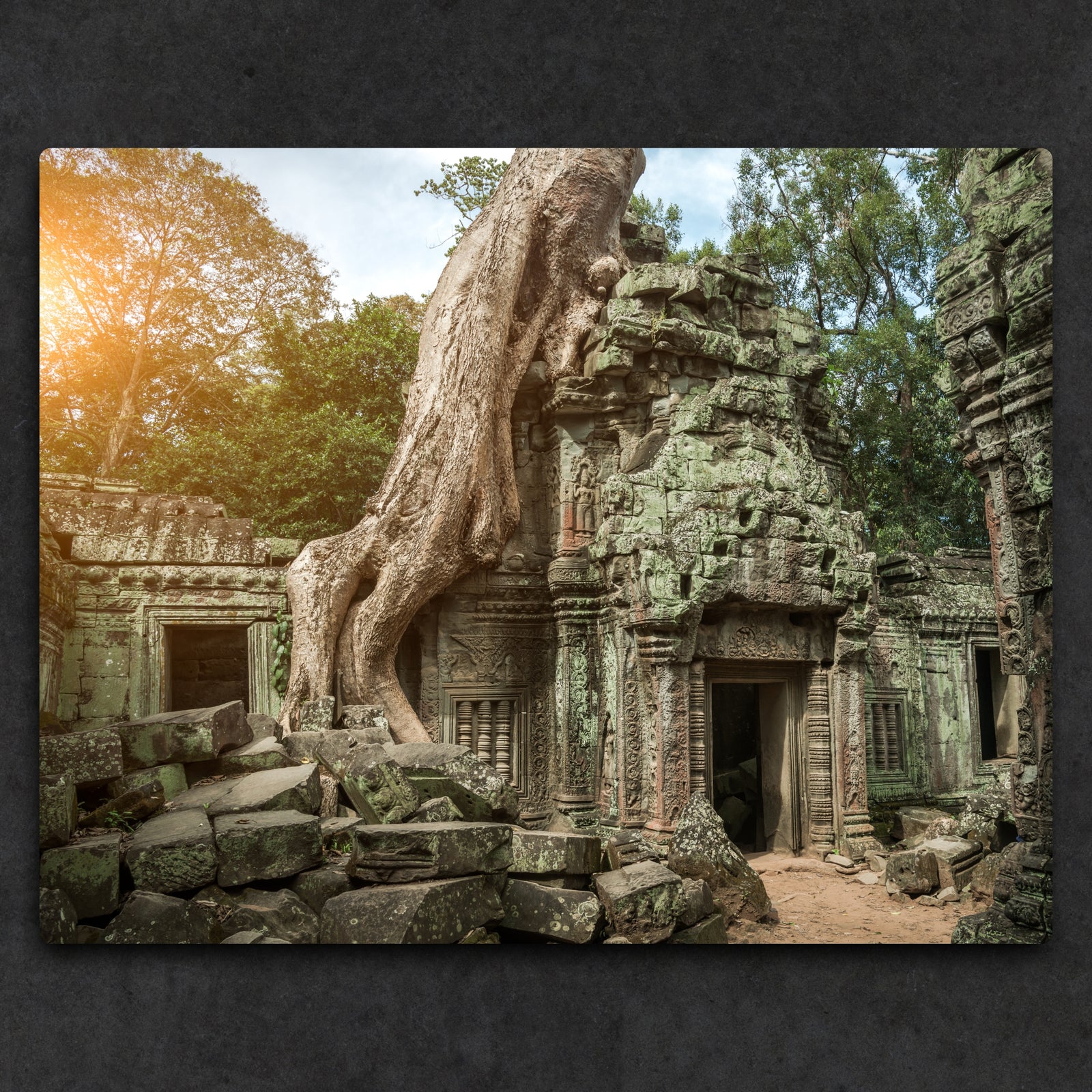 14x11" (35.6x27.9cm) Metal Print