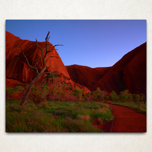 20x16" (50.8 x 40.64cm) Metal Print