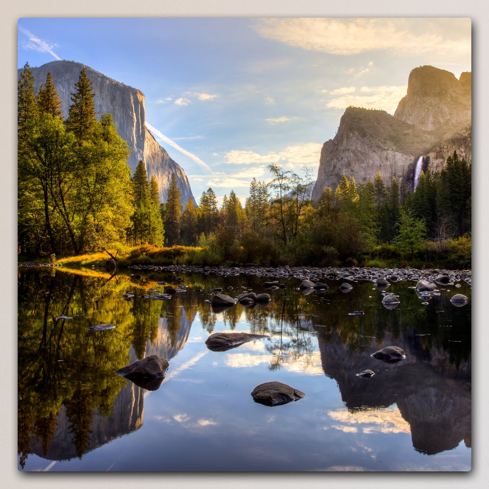 20x20" (50.8x50.8cm) Metal Print